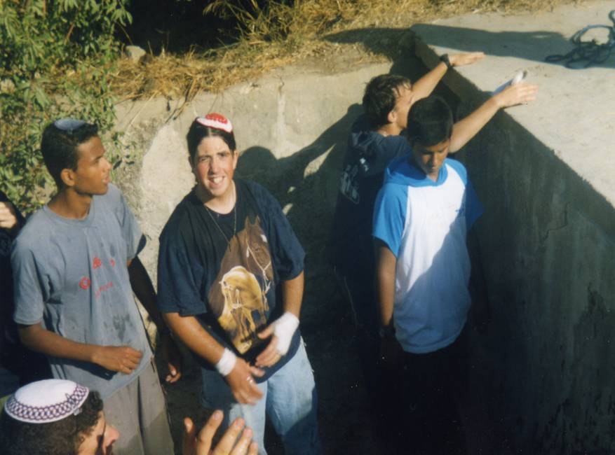 Header image