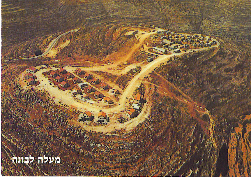 הישוב בתחילת דרכו
